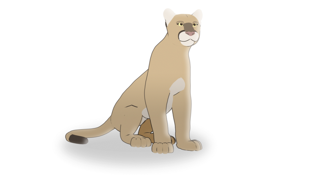 Animated mountain lion sitting and twitching tail